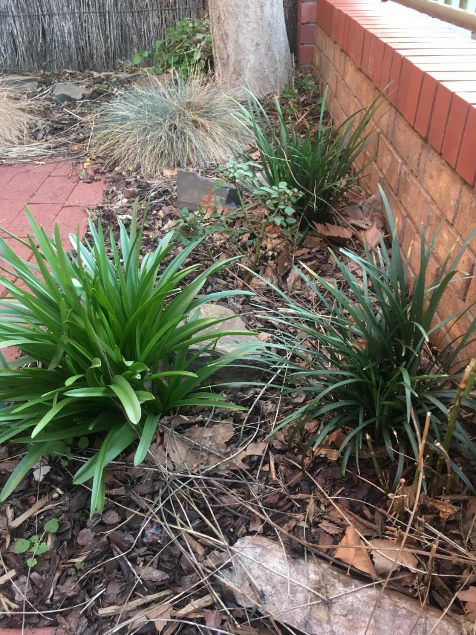 Adelaide Style Accommodation-Getaway In North Adelaide- Close To City Exterior foto
