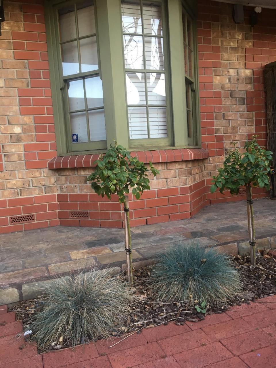 Adelaide Style Accommodation-Getaway In North Adelaide- Close To City Exterior foto